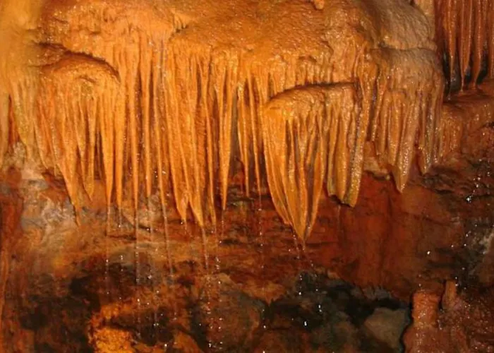 Historical 4 - Bedroom In